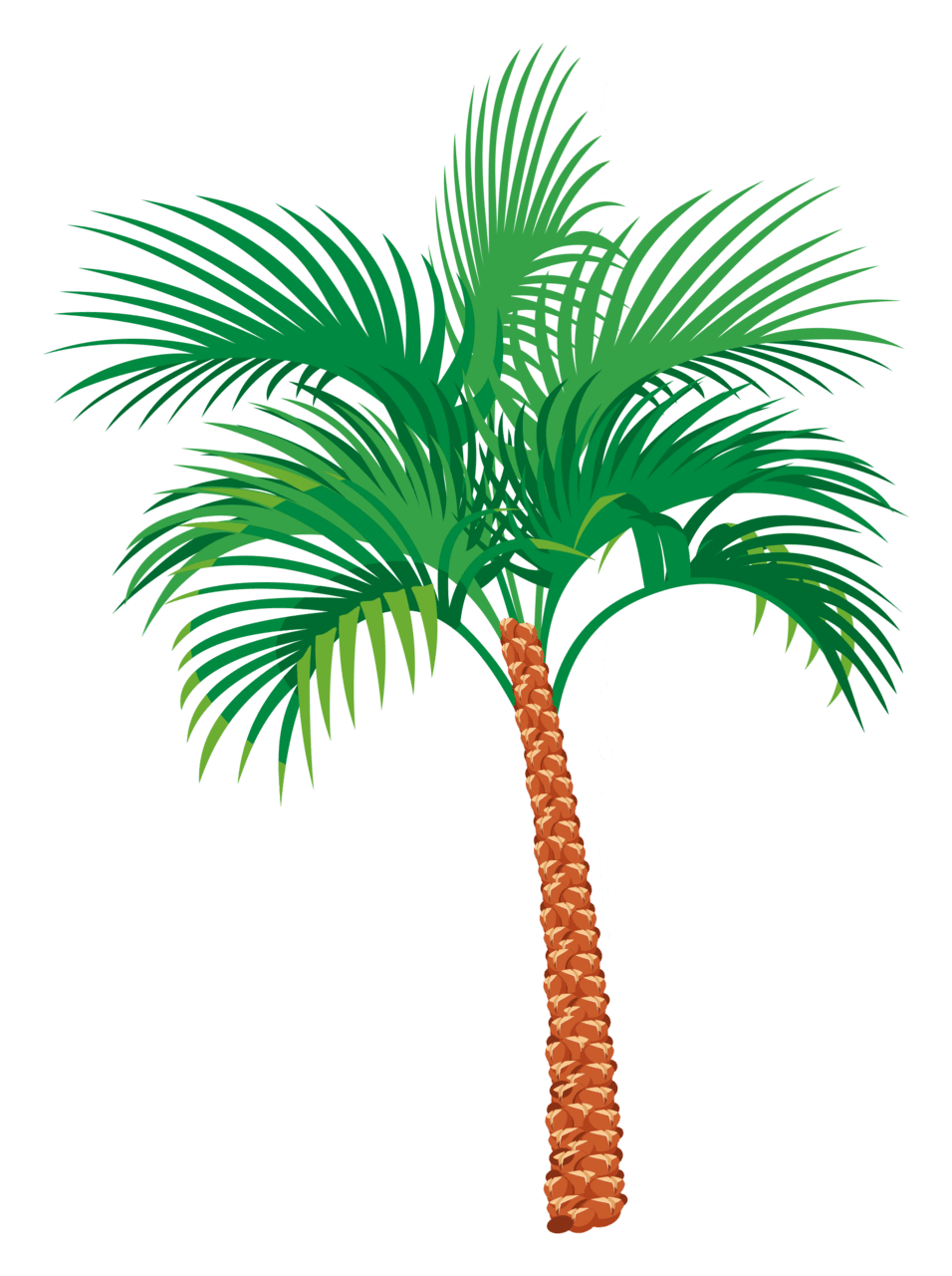 Palm tree clipart vector 2