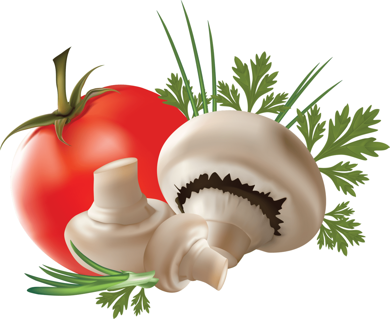 Mushroom with tomato clipart picture