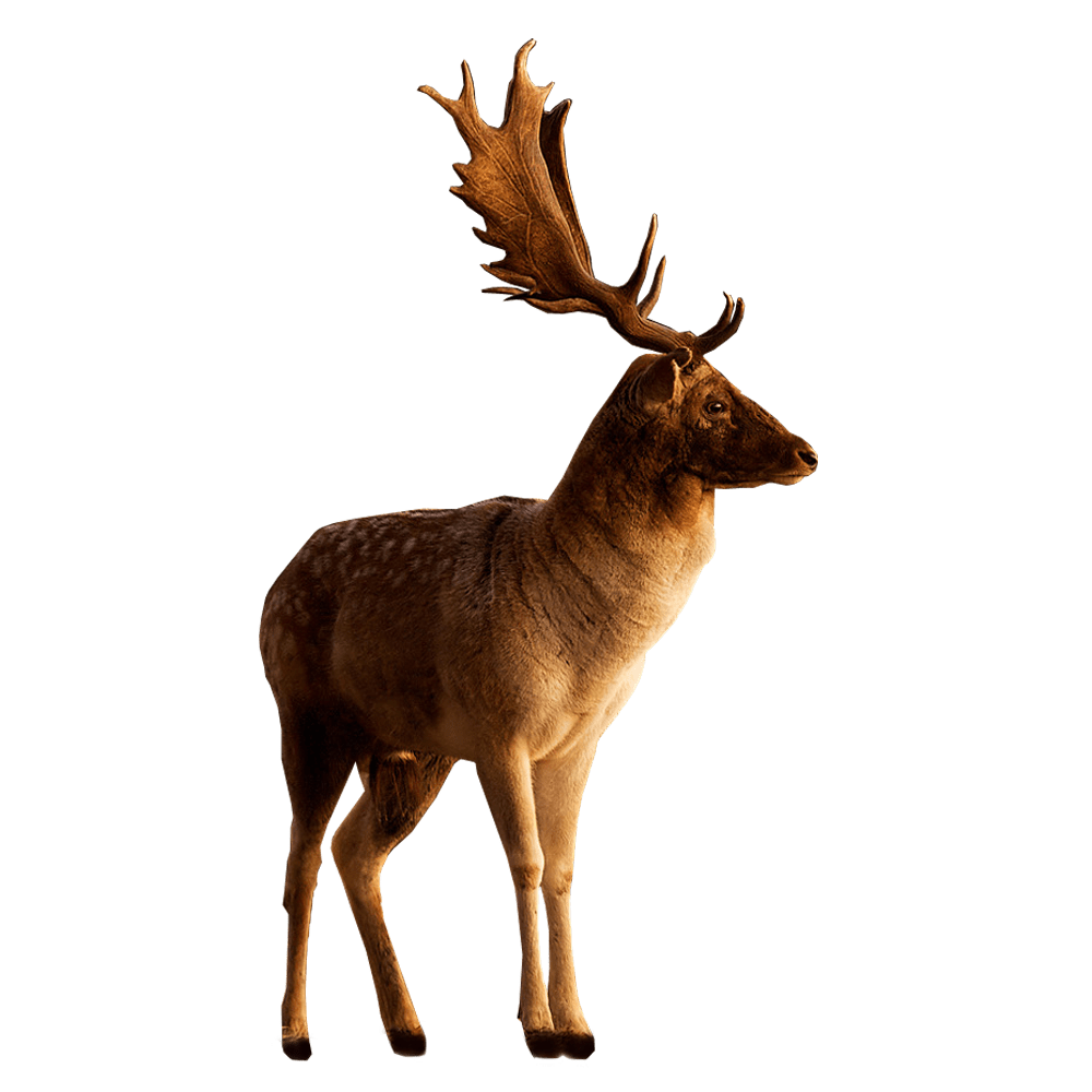 Deer pin page clipart background 2