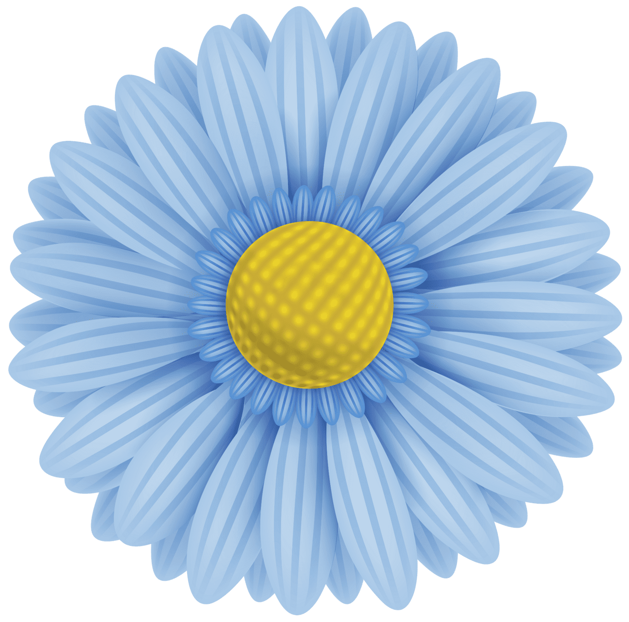 Daisy blue flower clipart free