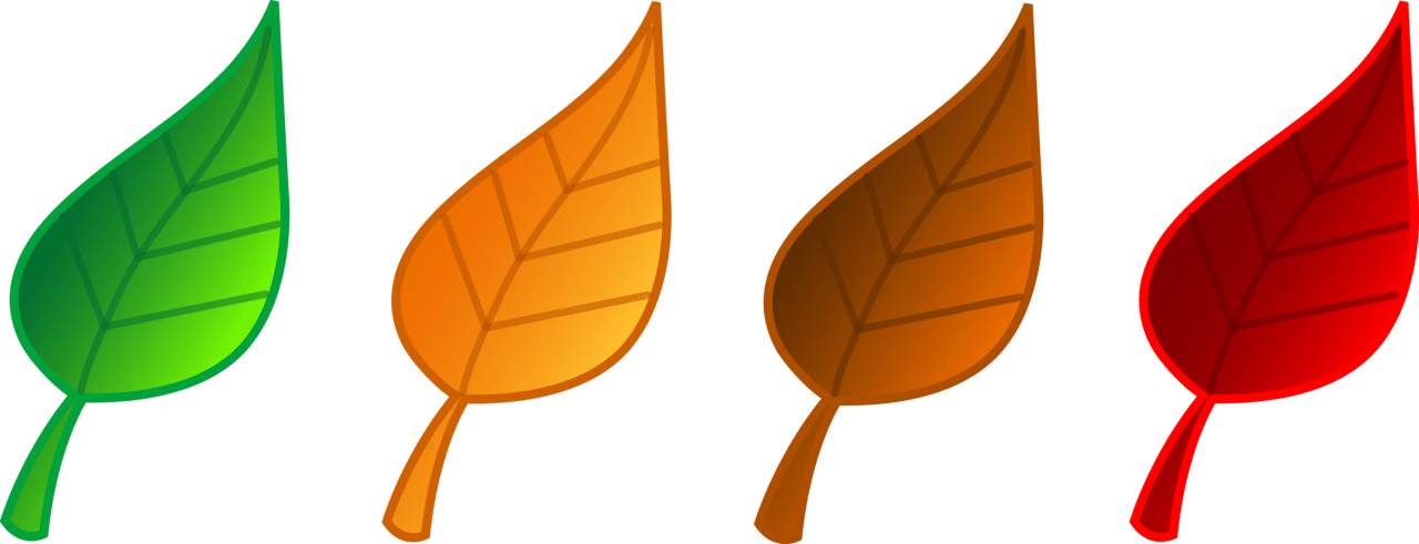 Fall leaf pin page clipart clip art