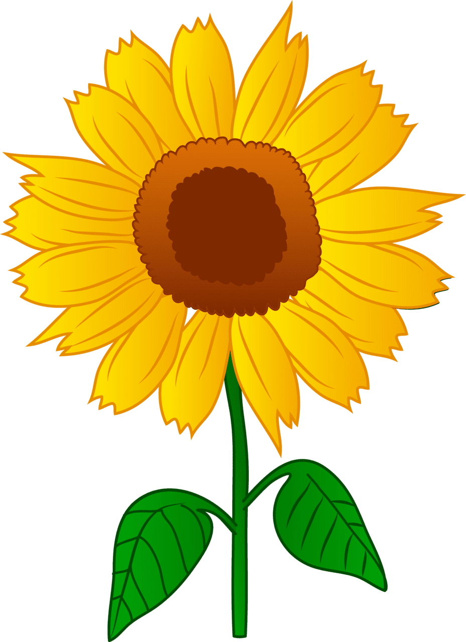 Sunflower clipart images