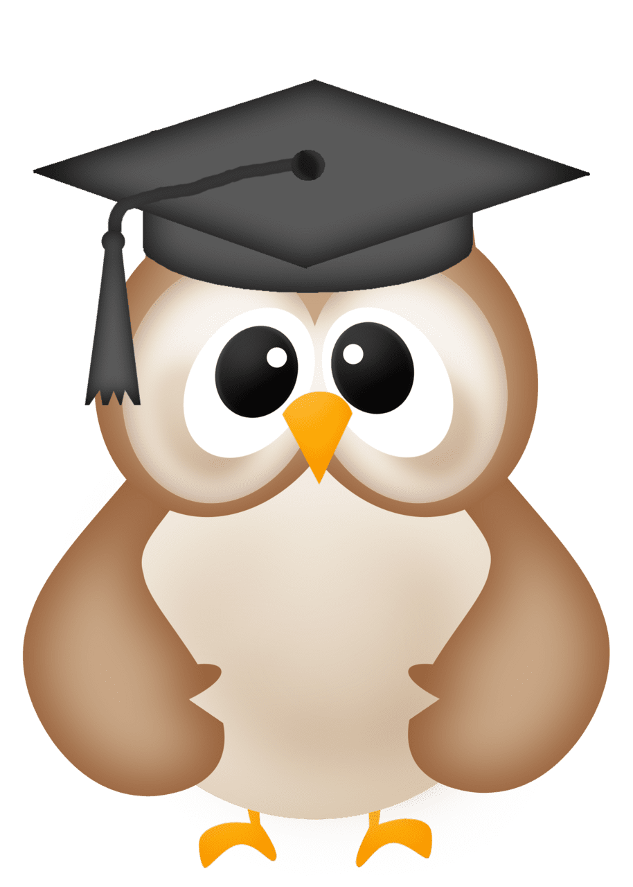 Graduation cap owl clipart panda images