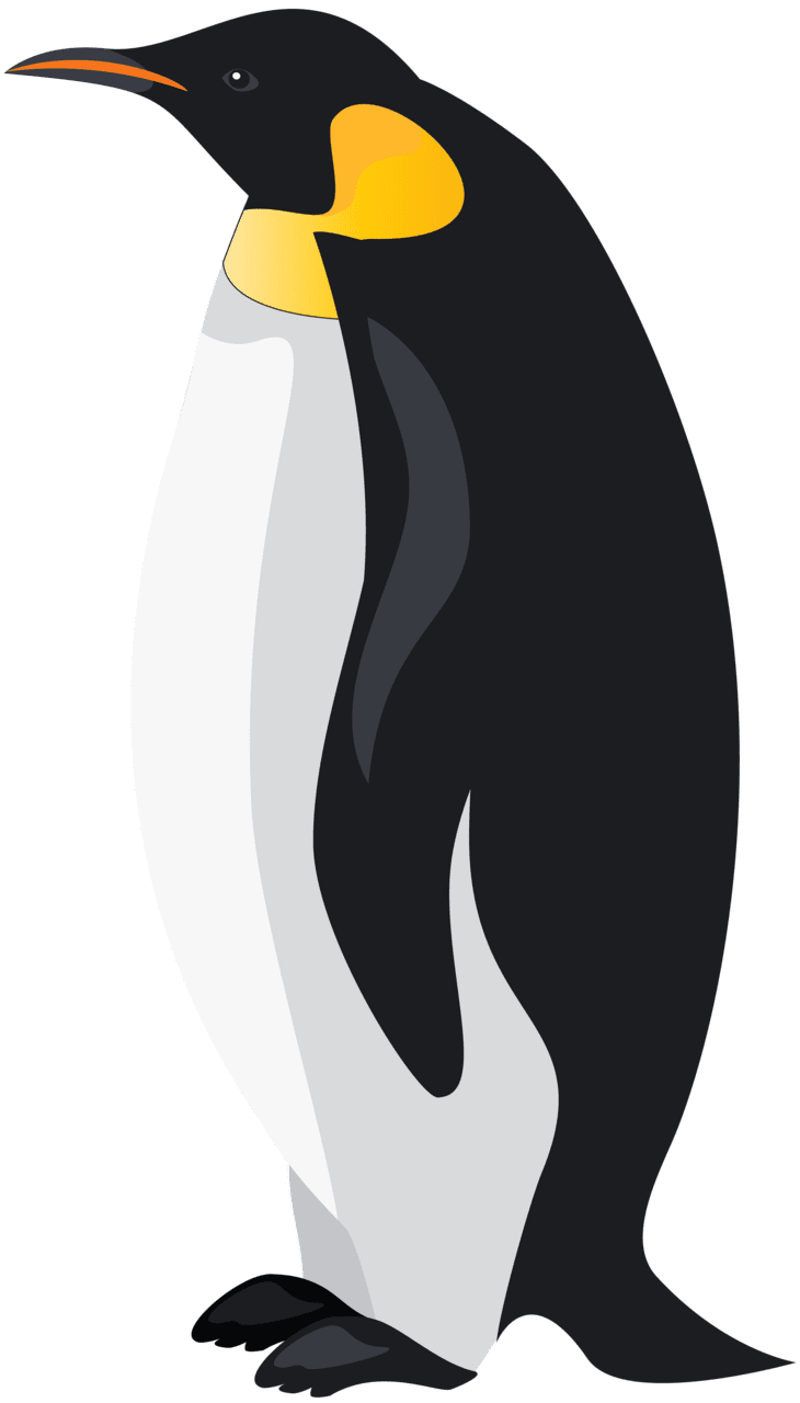 Emperor penguin clipart image