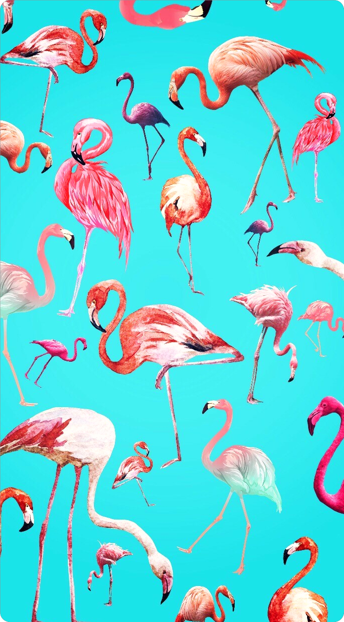 Discover the coolest ftestickers background flamingo stickers clipart