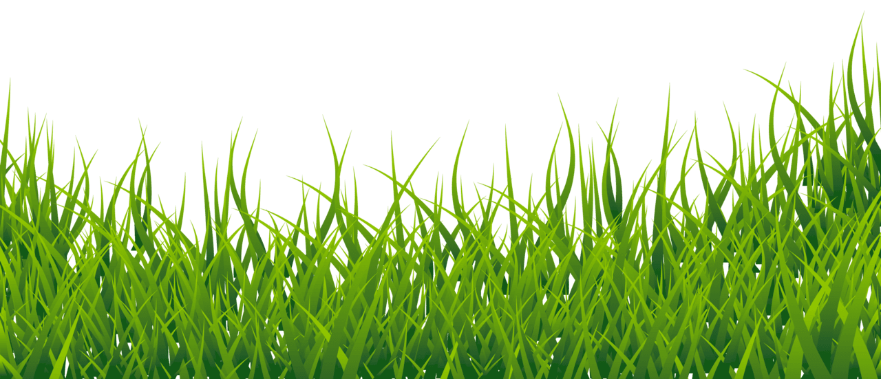 Grass clipart picture