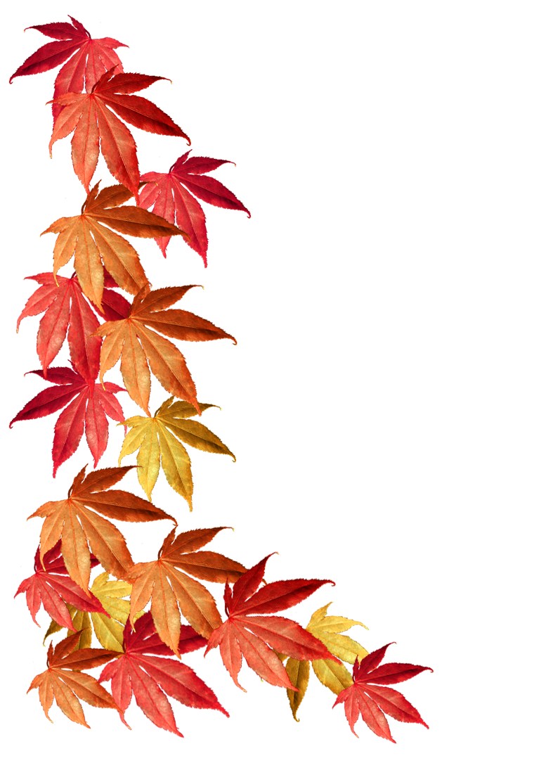 Fall leaf page clipart photo