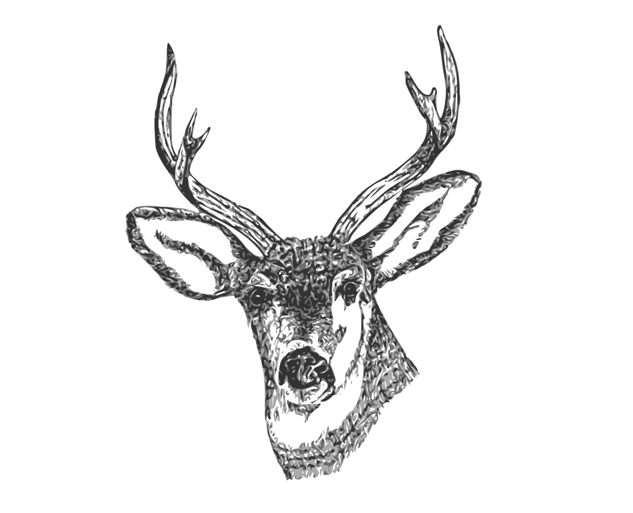 Onl elabels clipart deer head background