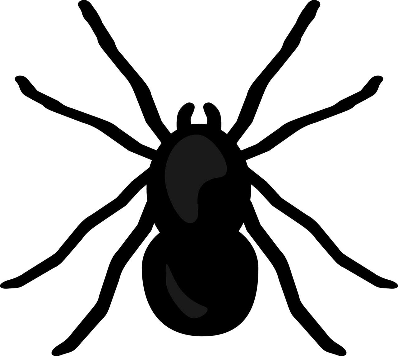 Spider mixed clipart background