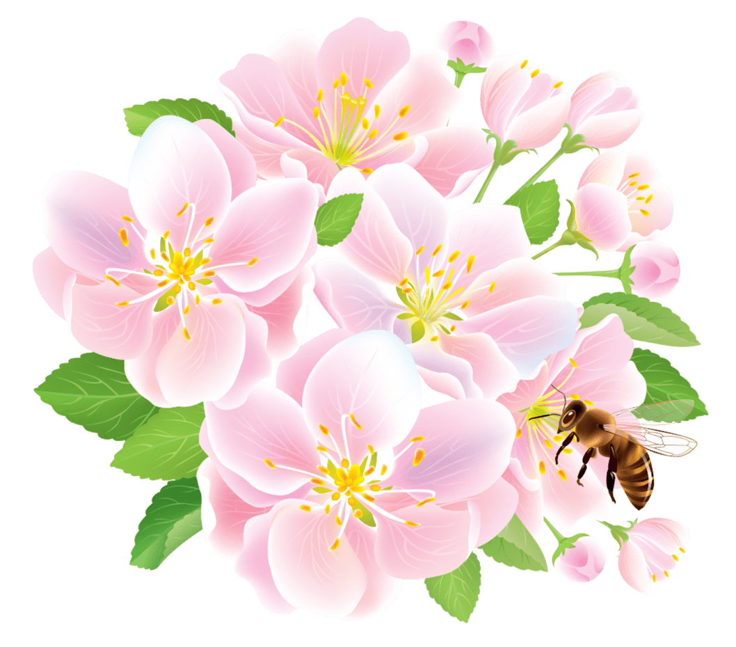 Spring spr flowers with bee clipart vector