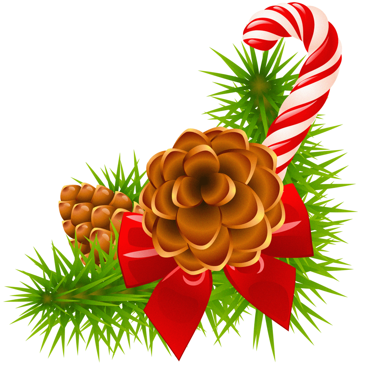 Christmas branch with cones and candy cane decor decorations canes clipart transparent