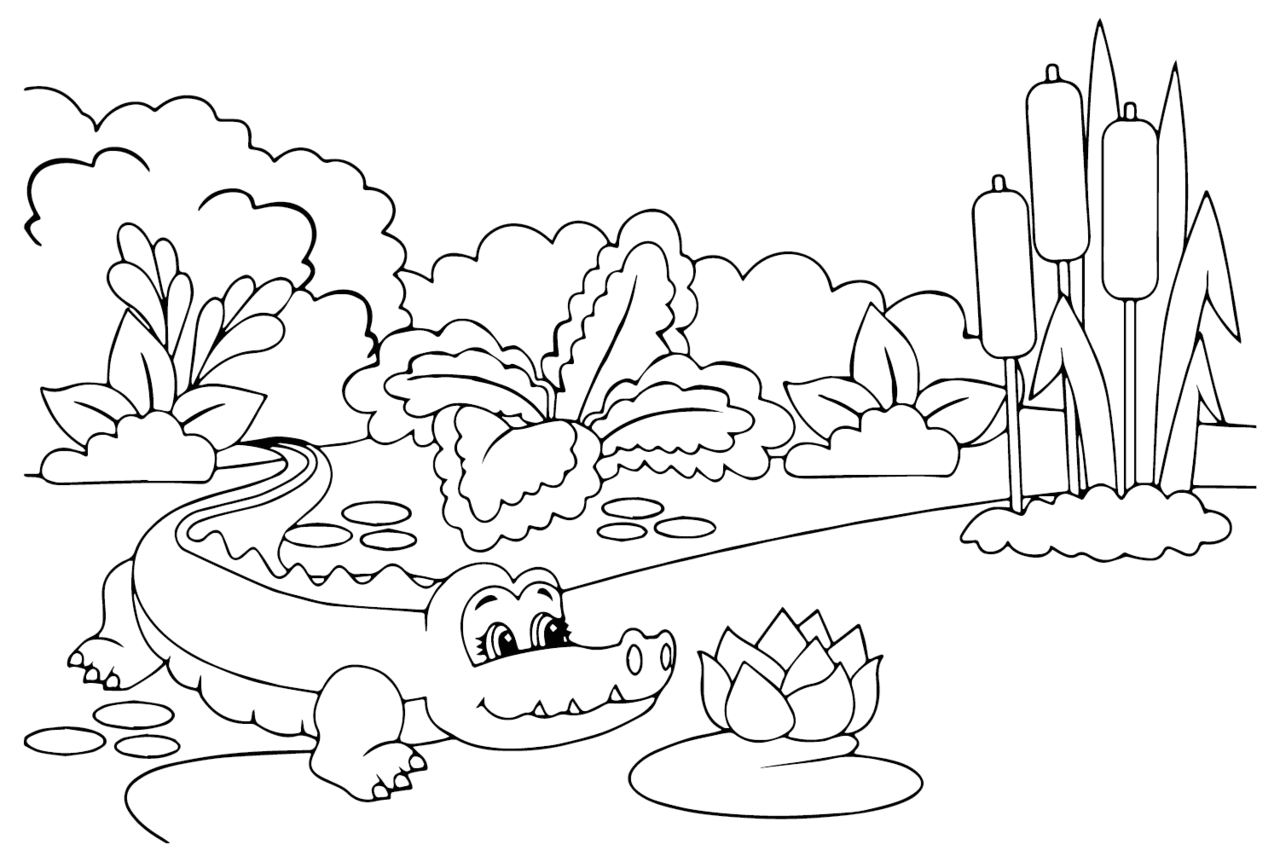 Alligator crocodile coloring page printable pages clipart logo