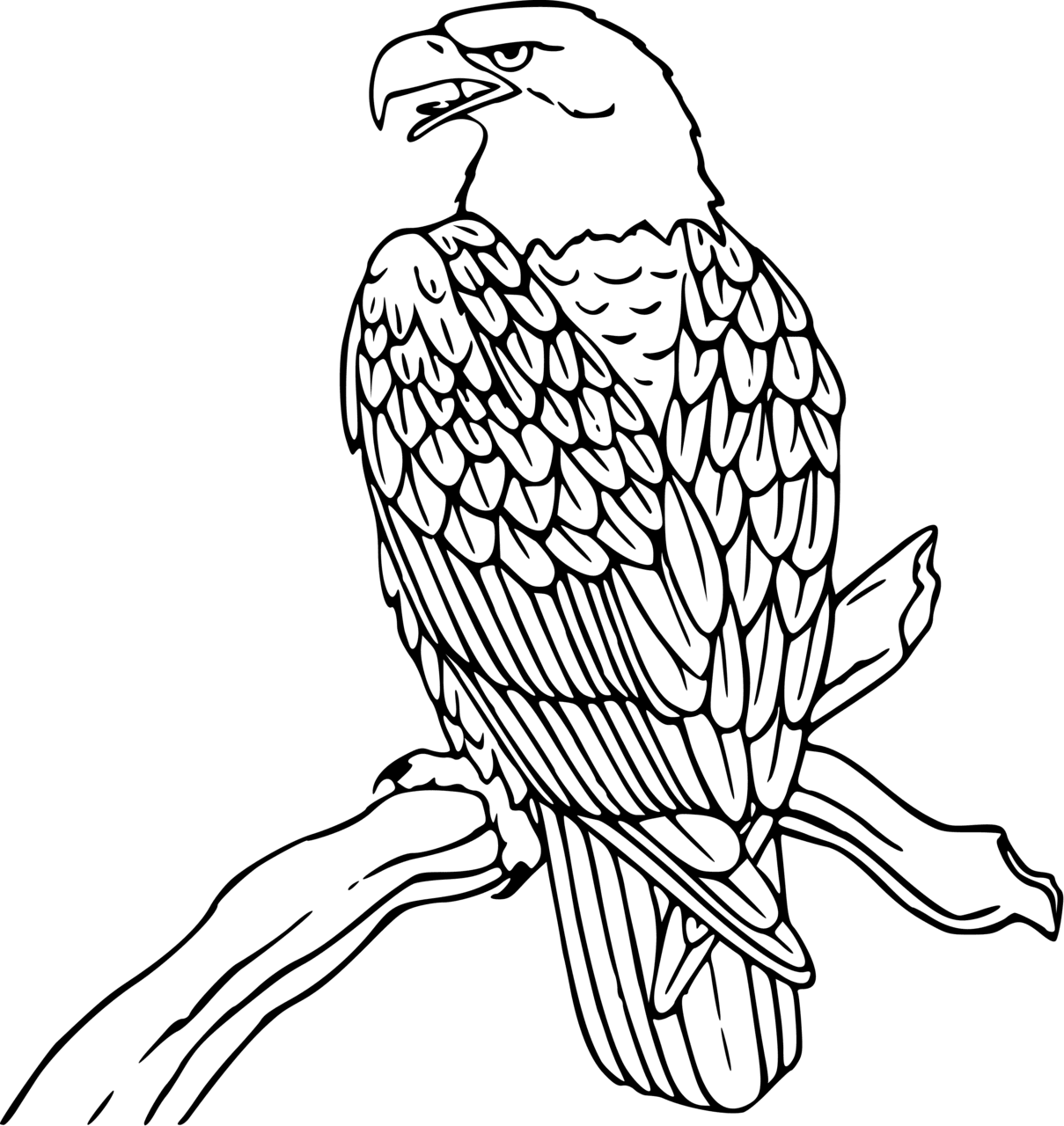 Eagle pin page clipart photo