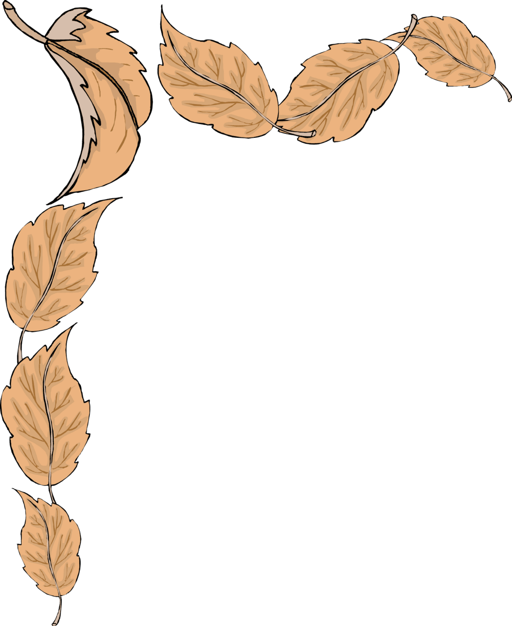 Fall leaf leaves border design clipart transparent