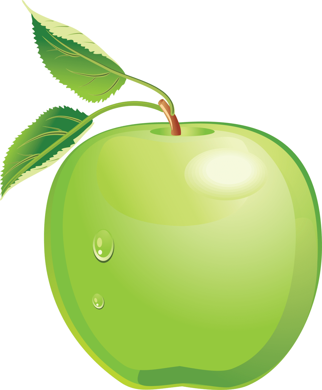 Fruit green apple image for clipart