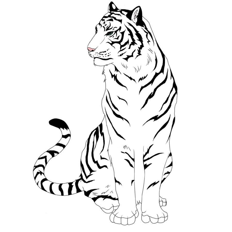 Tiger pin page clipart transparent