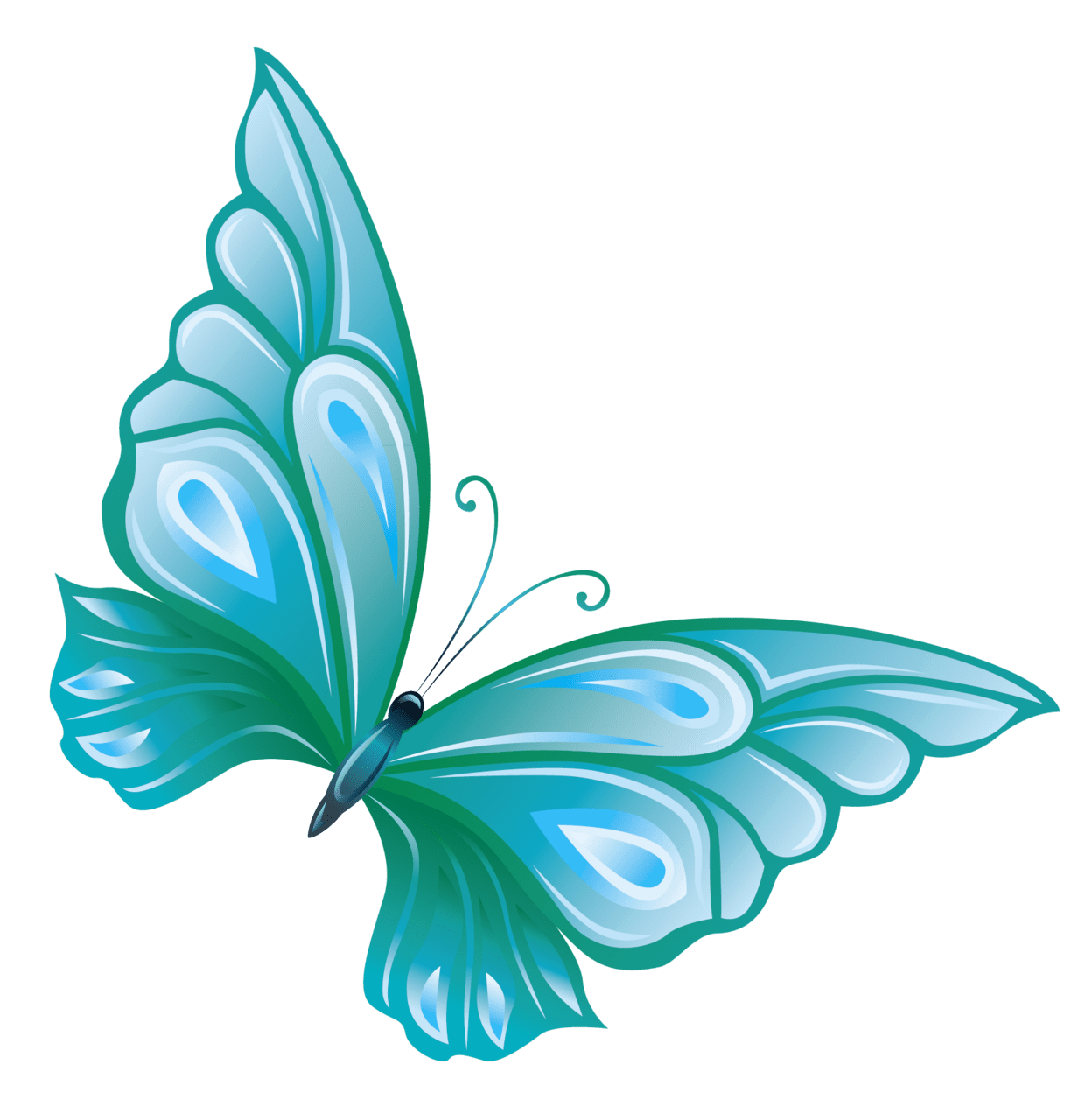 Butterflies blue butterfly clipart clip art