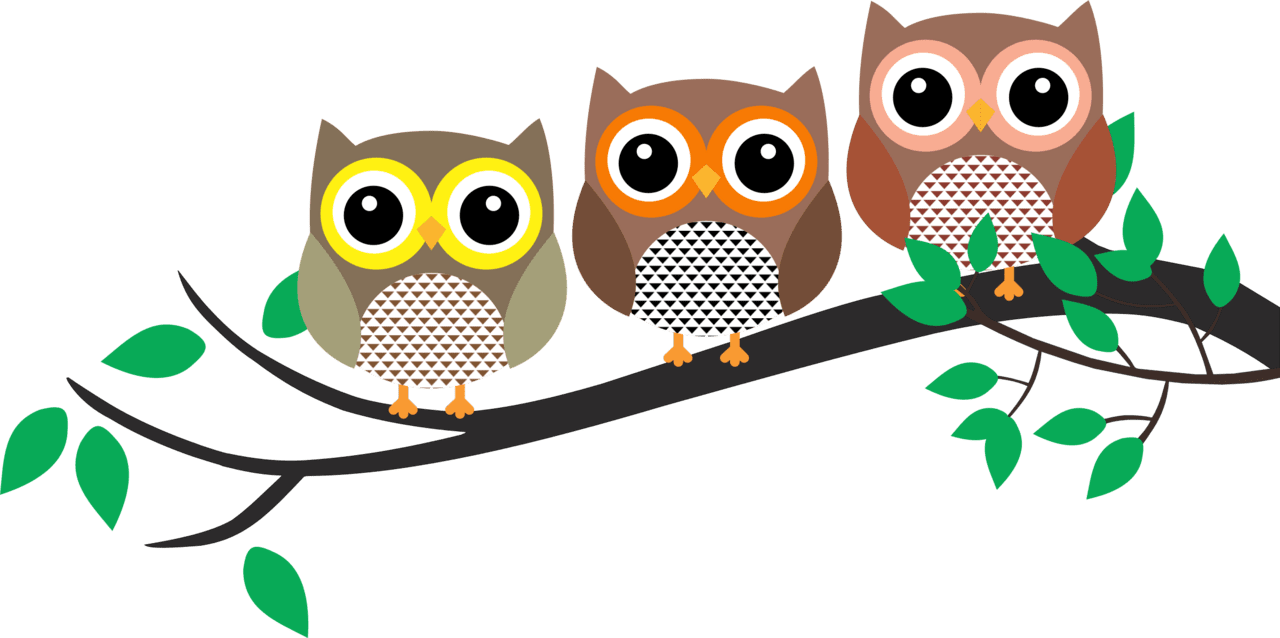 Three owl in tree clipart background