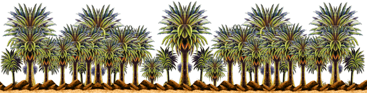 Palm tree pin page clipart image 3