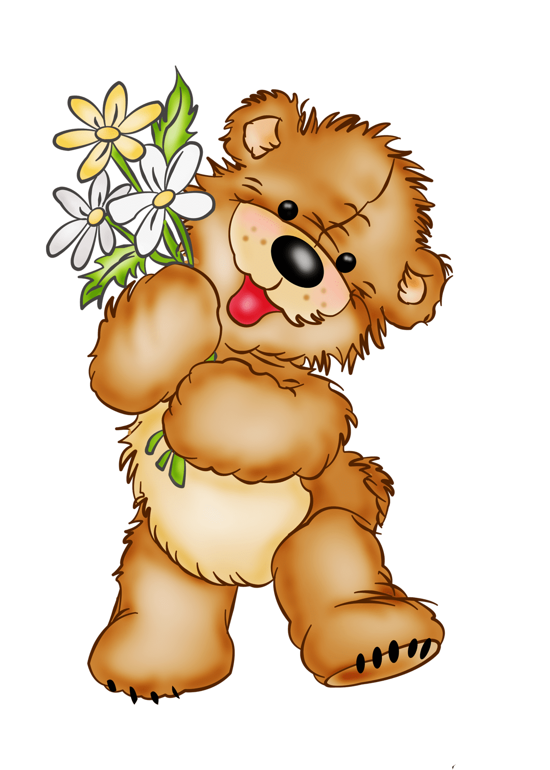 Bear ursinhos clipart photo