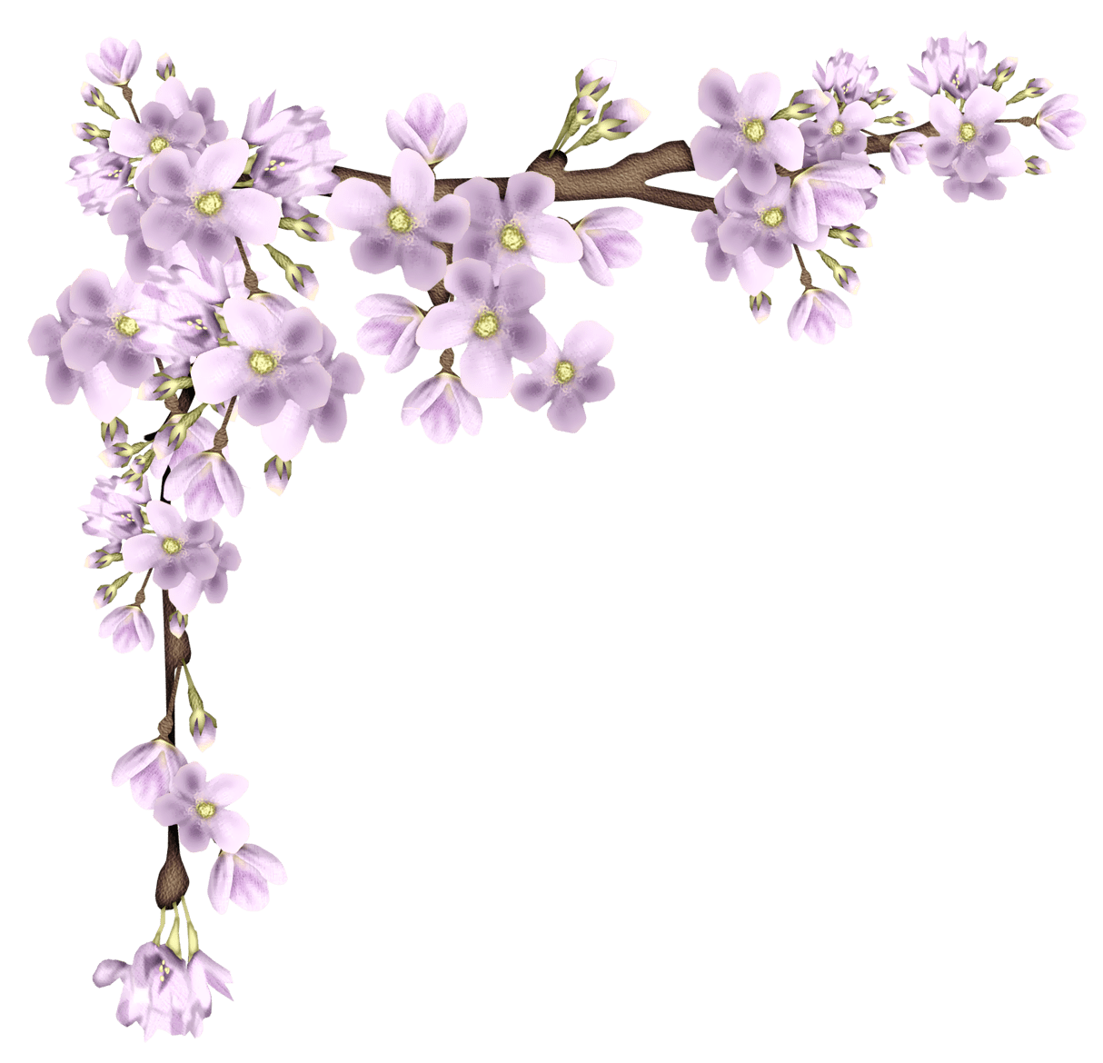 Pink spring branch picture clipart