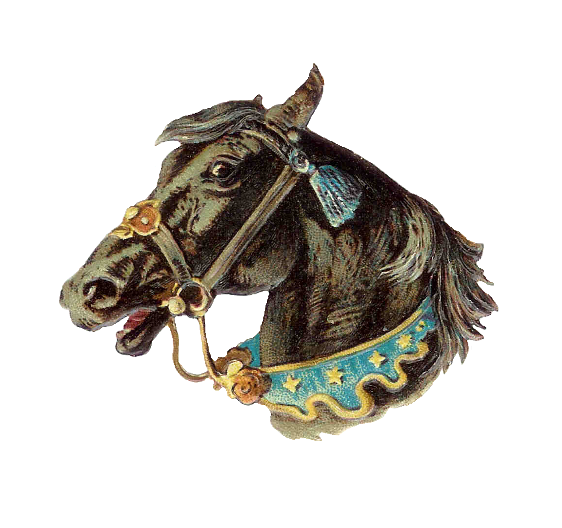 Vintage horse clipart victorian die cut of black circus with fancy reins transparent