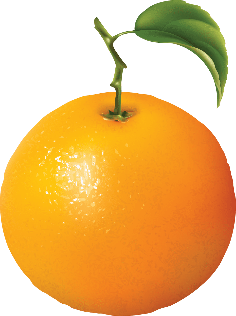 Fruit orange oranges image imagenes de naranjas fruta frutas vegetales clipart