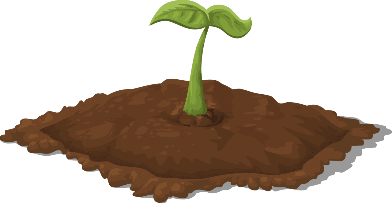 Plant harvestable resources patch seedling clipart transparent