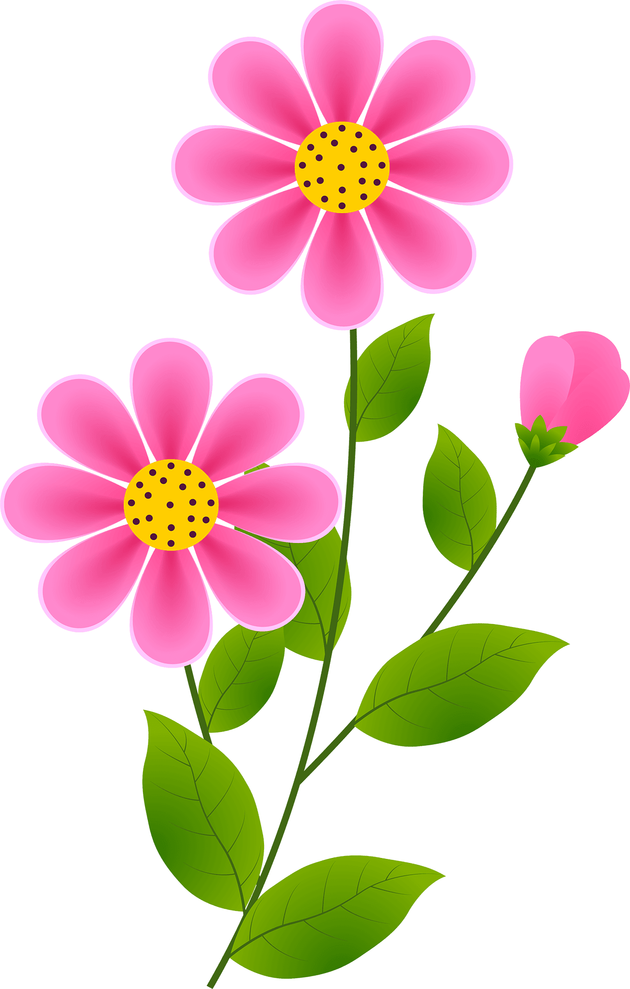 Spring flower vector in drawing clipart flowers 2