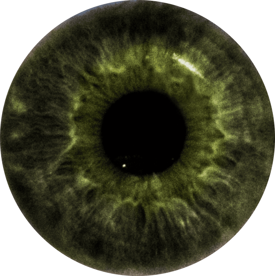Stephen eye iris by njakstudio deviantart clipart vector