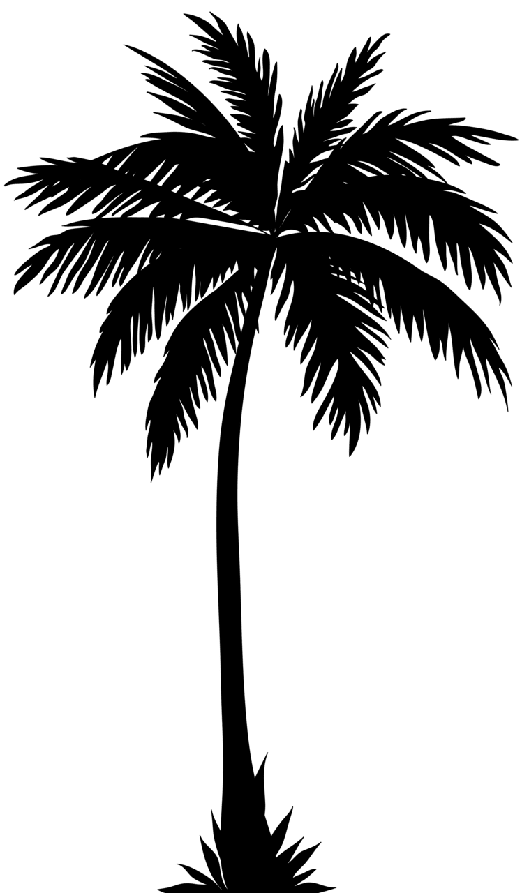 Palm tree silhouette clipart image