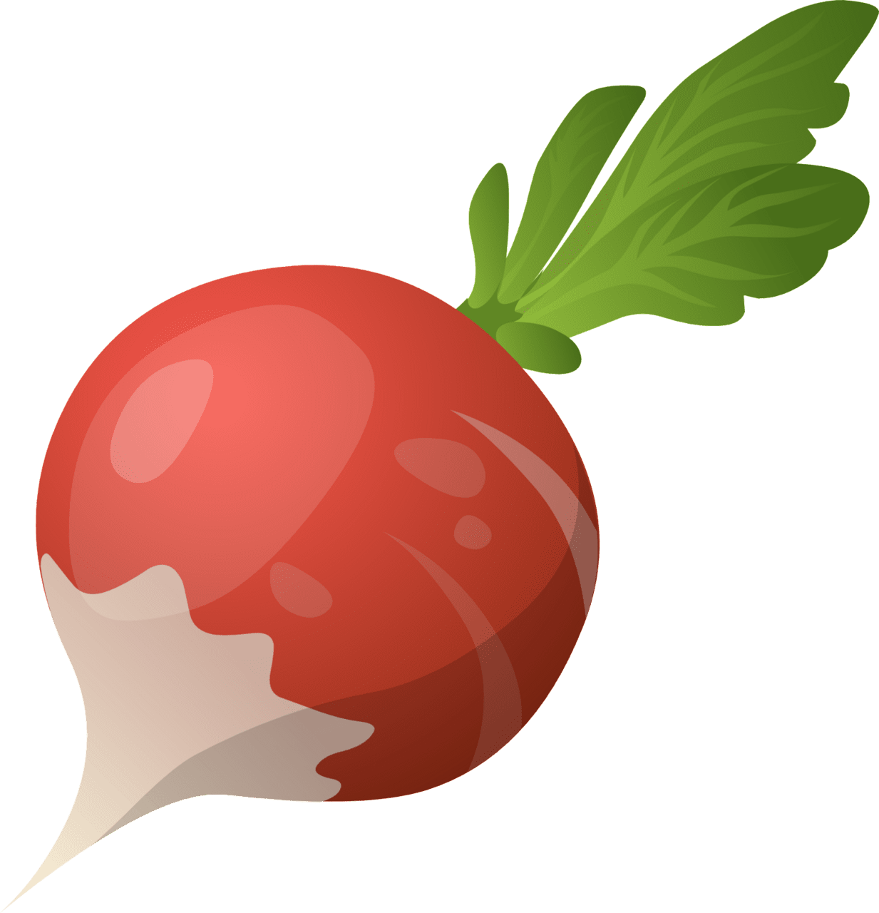 Carrot beet clipart logo