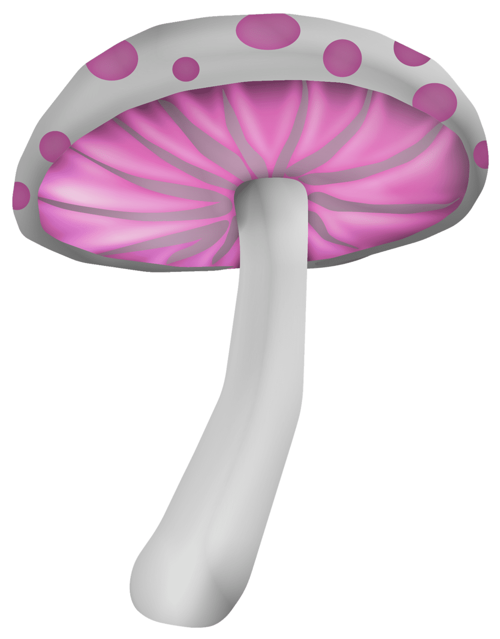 Mushroom clipart photo 2