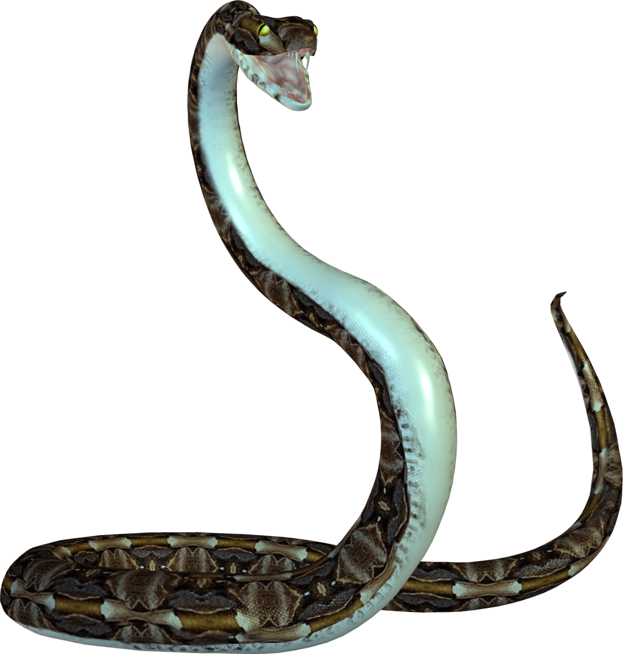 Snake image picture with background clipart