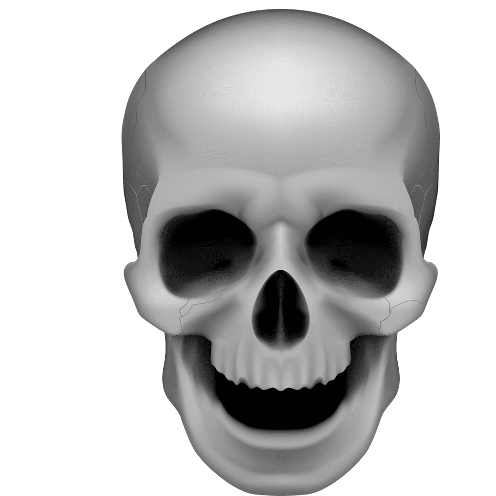 Halloween human skull images hd photo clipart
