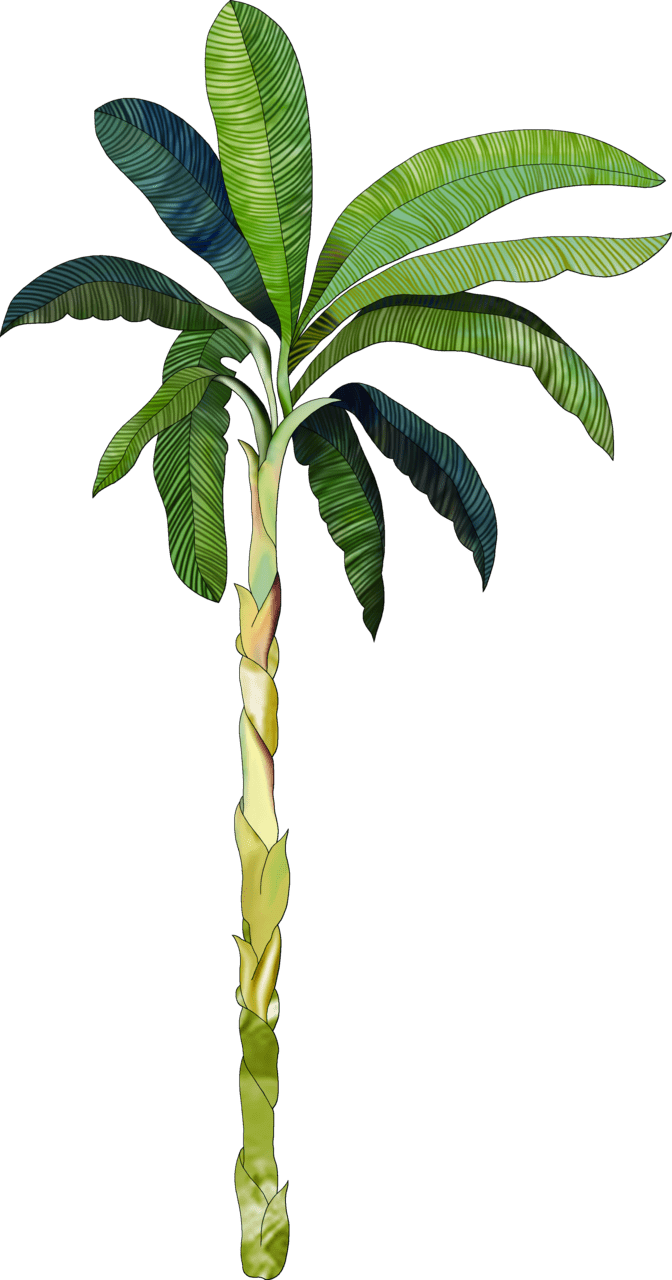 Banana pin page clipart free 2