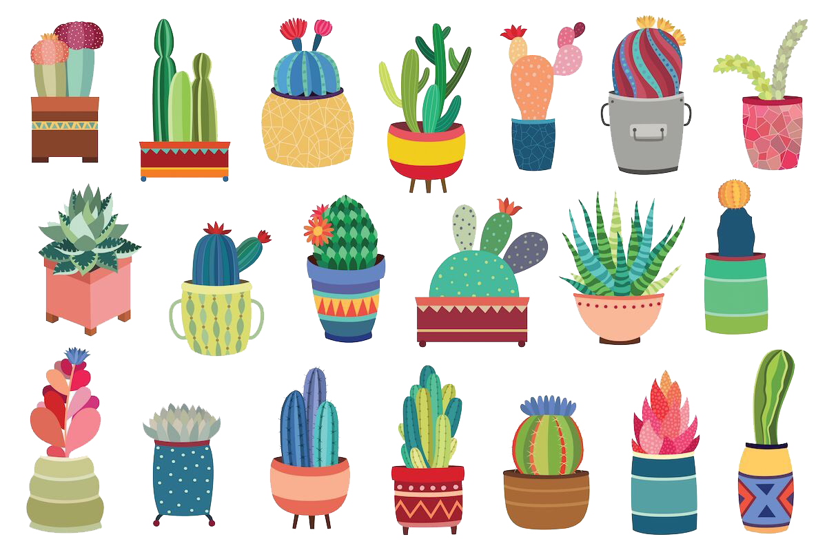 Goodnotes cactus vector drawing clipart