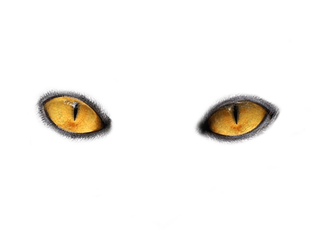 Eye clipart clip art 4