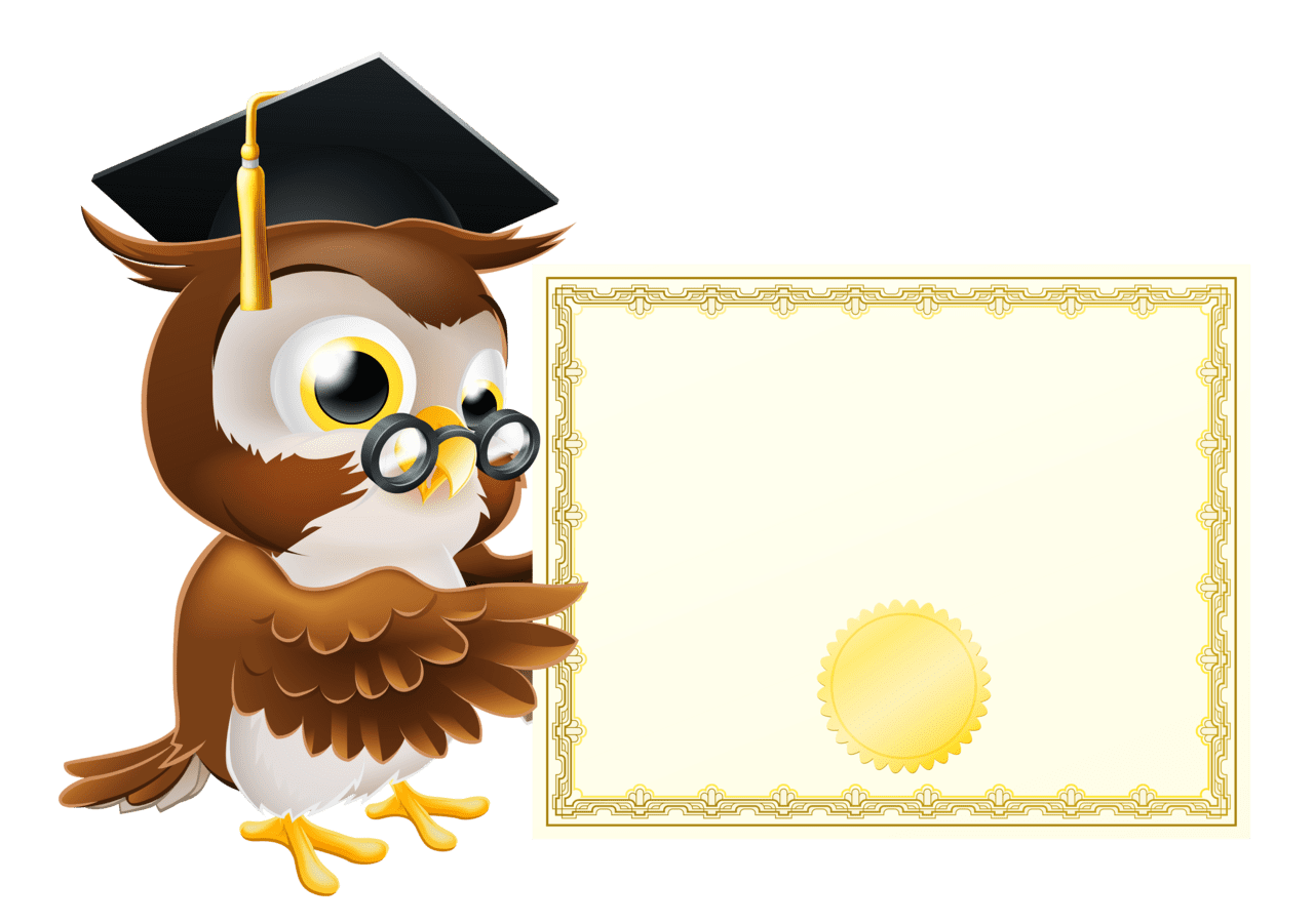 Owl with school diploma clipart picture paper flower art certificate background