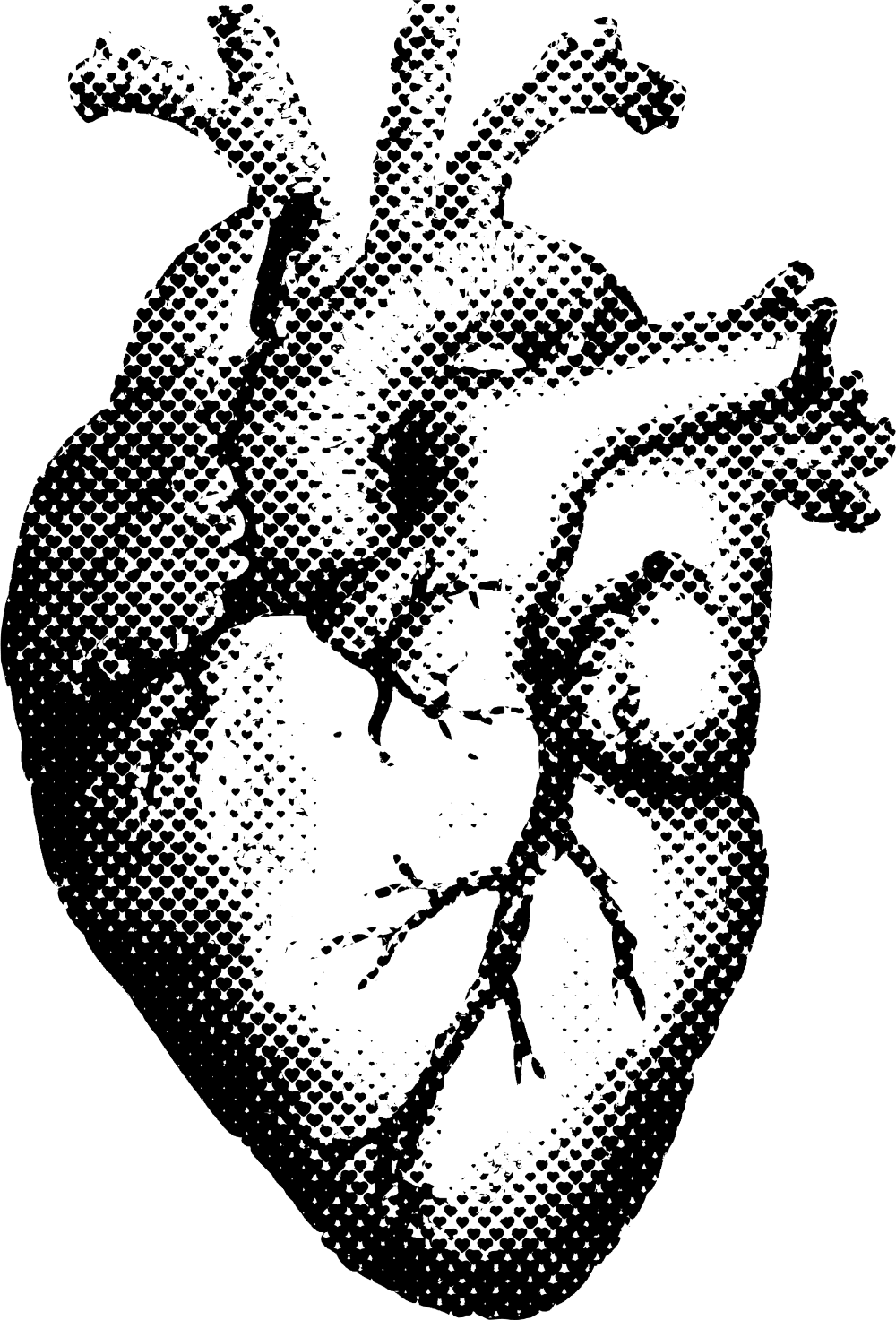 Heart black and white human anatomy shirt pr clipart free