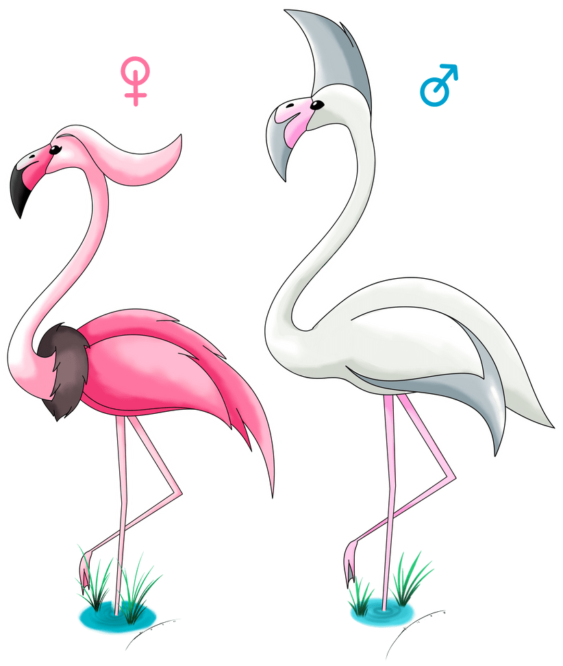 Gremingo the flamingo fakemon by darkrailady deviantart clipart vector