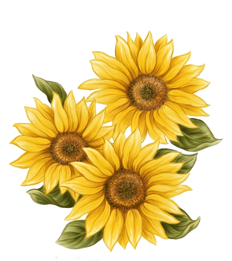 Sunflower pin page clipart logo 2