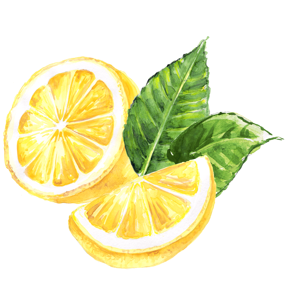 Lemon pin page clipart picture