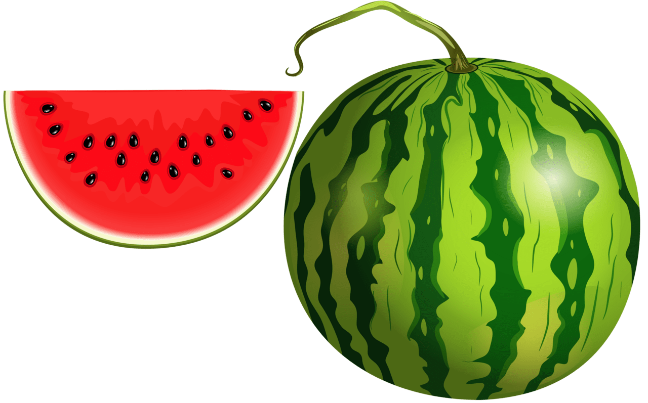 Watermelon clipart it edible picture