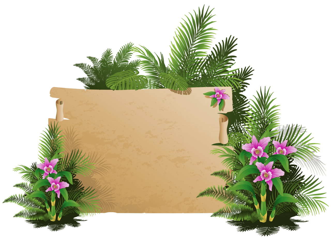 Plant summer exotic board clipart clip art