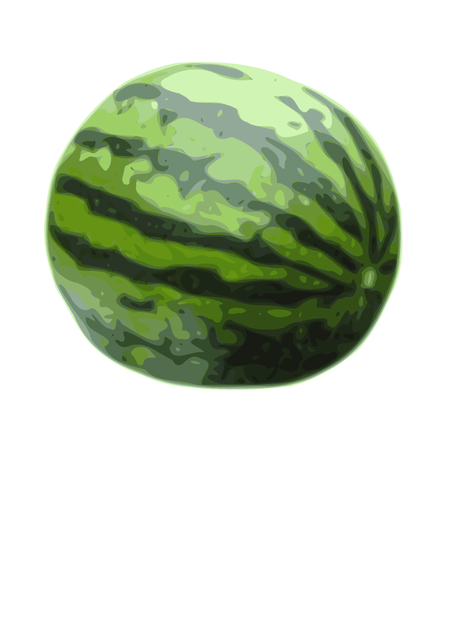 Watermelon clipart transparent