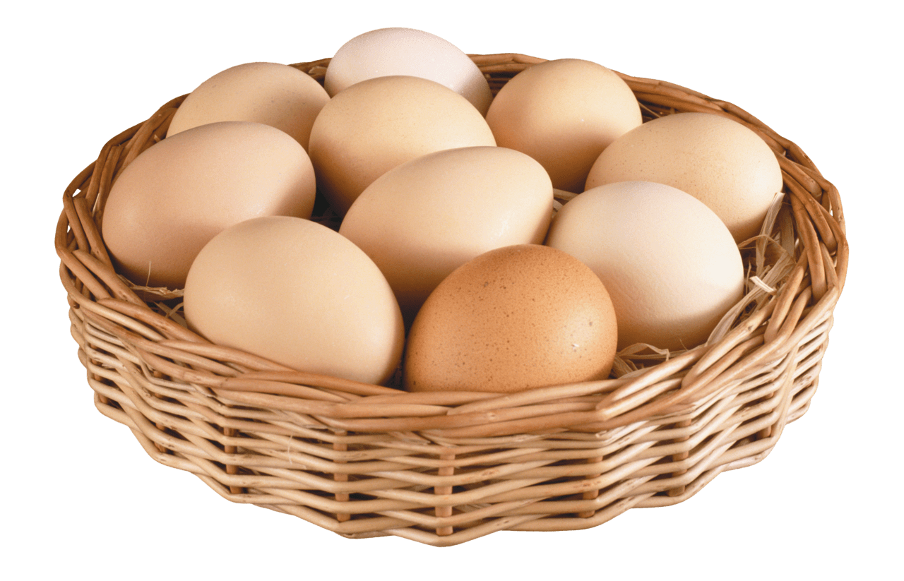 Egg image for clipart 2