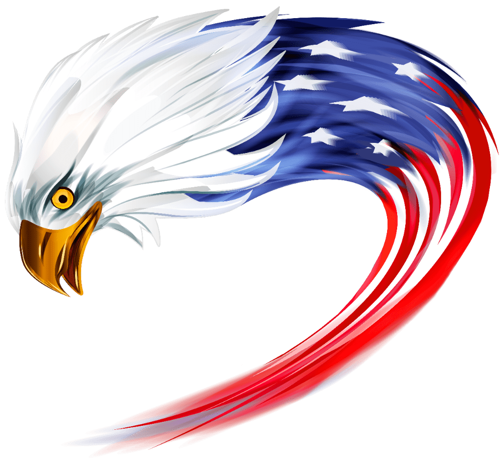 Usa eagle clipart picture