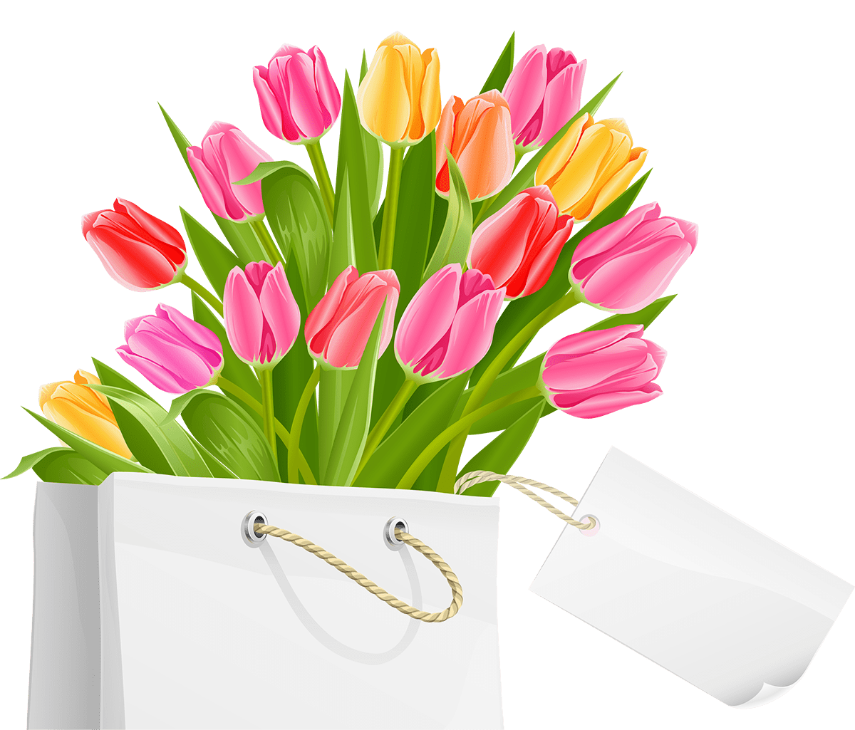 Spring bag with tulips clipart picture