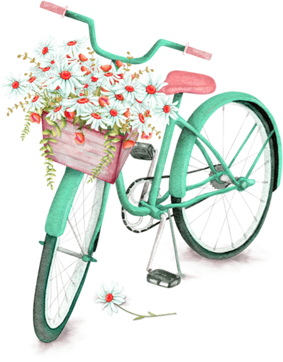 Bicycle lo clipart photo